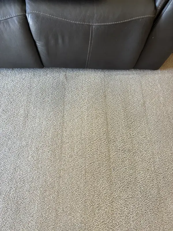 Living Room Carpet Cleaning - After