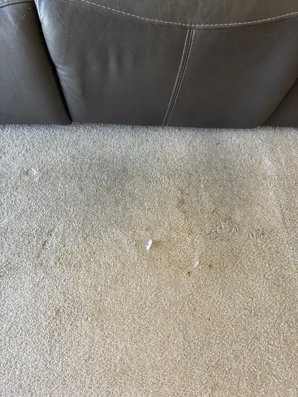 Living Room Carpet Cleaning - Before