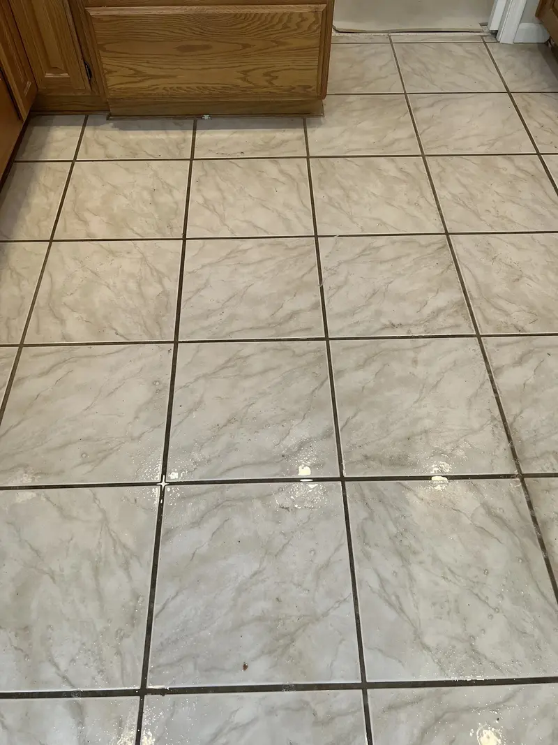 Kitchen Tile & Grout Cleaning - Before
